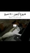 وضعیت هممون این روزا😭این طنز نیست این واقعیته😑