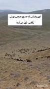 بیشتر شبیع قهرای خودمه تا رفیقم😔🎀😂