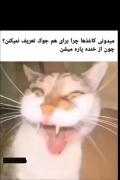 میدونی چرا کاغذا جوک تعریف نمیکنن؟ 