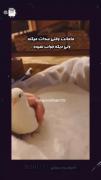 وقتی مامانت صدات میزنه و دیگه جواب نمیده😂🗿🚬