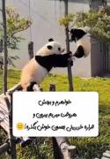 بله اینم شدع حکایت ما، وقتی هم برمیکردیم میگن چه خوش گذشت😐💔