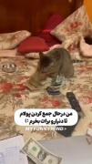 داذم پولامو جمع کنم برای شمایی که ویدیو رو می بینین دنیارو بخرمممم