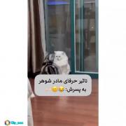تاثیر حرفای مادرشوهر بر پسر😂😂😂😂😂