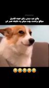 وقتی دم رفتنی میگفتن وایسا یه دقه😀😀😂