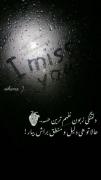 دلتنگی زبون نفهم ترین حسه.... :))