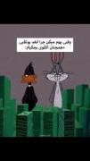 وقتی بهم میگن چقدر پولکی هستم: ‌‌ 