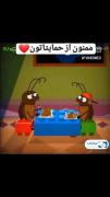 /((((وقتی غذا گوه پلو باشه😂)))/
