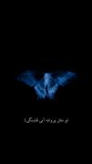 قشنگییییییی🫠‌‌‌‌‌‌‌‌‌‌‌‌‌‌‌✨️‌‌