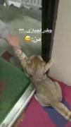 من وقتی میخوام برم عید دیدنی 😅😅😅