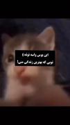 ۰۰۰۰۰۰۰۰۰۰۰۰۰۰۰۰۰۰۰۰۰۰۰۰۰۰۰۰۰۰۰۰