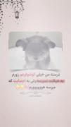 درود بر کوچولو هاااااا.........