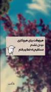 هیچوقت تو عمرم دو دل نشدم.....