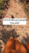کدوم طبیعت ارامش بیشتری بهت میده..من 2