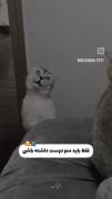 😂💕🤍:)‌‌‌‌‌. ‌‌ ‌‌ ‌‌ ‌‌ ‌