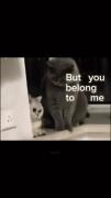  But you belong to me :) 