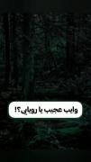 وایب عجیب‌ می‌پسندی یا رویایی ؟؟؟؟