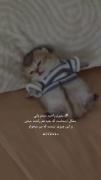 اگه بمیرم.....................