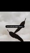اوکی ولی والیبال💗✨>>>>>>>>>>>>