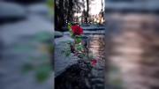 عاشقانه برای کسانی که بهترین هستند