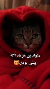 متولدین هر ماه اگه گوربه بودنن😻😻