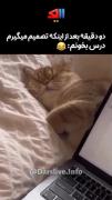 چند دقیقه بعد از اینکه تصمیم میگیرم درس بخونم 😂😂