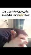 وقتی داری کالاف میزنی ولی صدای بمب از تو بازی نیست 🤣💀