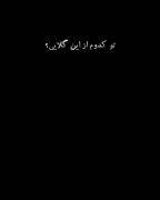 صِدات اُرکِستِ نُت هایِ حَنجَرَست...🎻✨