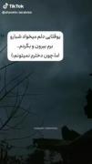 حسرت قدم زدن‌های شبانه یک دختر