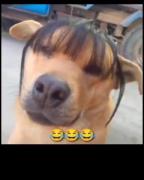 زخم خورده ها اعلام حضور کنن😂😭