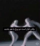 تئوری های مختلف که ممکنه واقعی باشه❤️