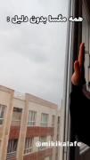 همه ی مگس ها بدون دلیل:::::میکی کلافه ❤️❤️