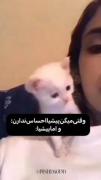 گربه‌‌‌ ‌‌‌‌‌‌‌‌‌‌‌‌‌‌‌‌‌‌‌‌
