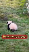 اخییییی عاشقشمممممممممممم😍😍😍😍