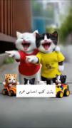 کلیپ گربه خیلی زیبا نظرتون بنویسید 