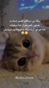 چرا همتون با هم منو از خدا می‌خواین؟!😂