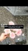 امازیبایی‌اون‌دختر🛐💞‌‌‌‌‌‌‌‌‌‌‌‌‌‌‌‌‌‌‌