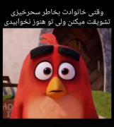 کی اینطور(وقتی خانواده ت تورو برای سحرخیز بودنت تشویق می‌کنند)