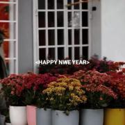 Happy new year‌‌‌‌‌‌‌‌‌‌‌‌‌‌‌‌‌