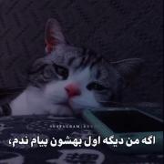 مناسبت خاصی نداره حقیقته.......