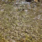 تفریحی زیبایی سرگرمی طبیعت‌ کوهنوردی