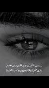 قربانی....چاویلت.......چاویلت....دنیامه