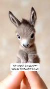 حتما واسه دوستت بفرست.........