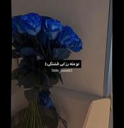 وایبی هس شایدم برای ولنتاینم هس کلا میشد فرستاد یا استوری کرد 