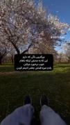 بزرگترین باگ زندگیِ من‌‌‌‌‌‌‌‌