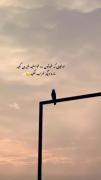  همه چیز به من بستگی دارد!🕊️🐚