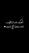 گوش دل باز کن تا ببینی صاحبت چه می‌گوید...🪴🤍 