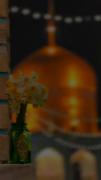 اربابم در حرم که می‌روم، دلم گم می‌شود میان هزاران قدم.