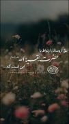 🌸ارتباط با حضرت بقیة‌الله از طریق...!