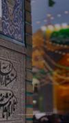 ✨میلاد هشتمین اختر تابناک آسمان امامت و ولایت مبارک باد.✨