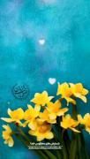 ✨خدایا! امام زمانِ ما را ظاهر بفرما.🤲🏼❤️ 